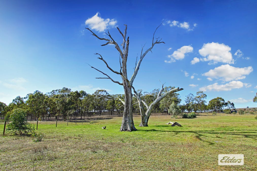 912 Heathcote-Rochester Road, Heathcote, VIC, 3523 - Image 16