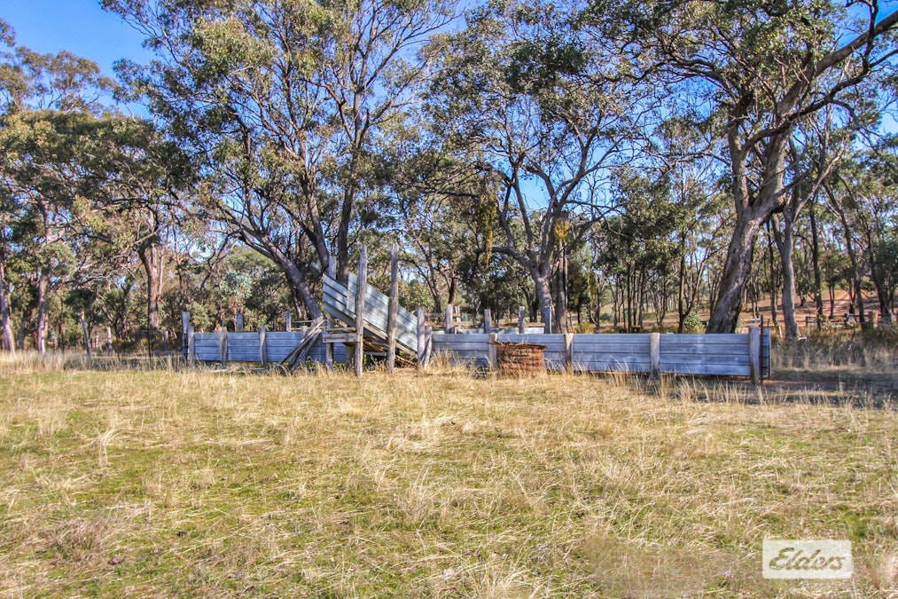Costerfield-Redcastle Road, Costerfield, VIC, 3523 - Image 3