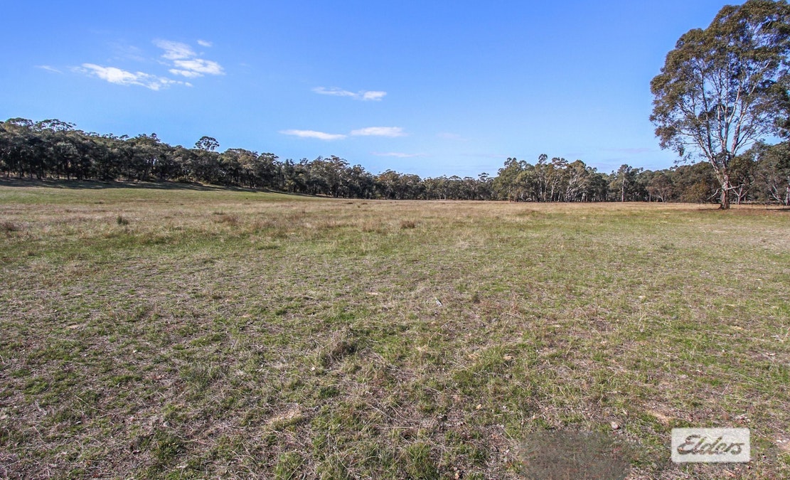Costerfield-Redcastle Road, Costerfield, VIC, 3523 - Image 6