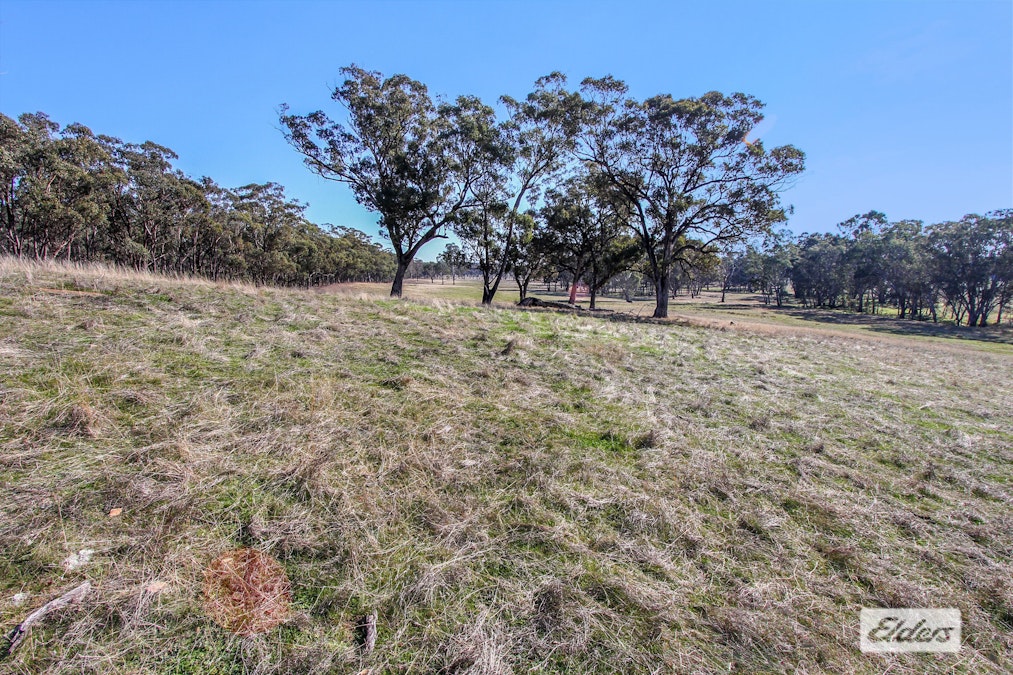 Costerfield-Redcastle Road, Costerfield, VIC, 3523 - Image 7