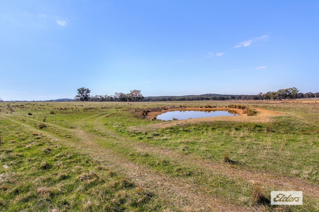 Costerfield-Redcastle Road, Costerfield, VIC, 3523 - Image 8