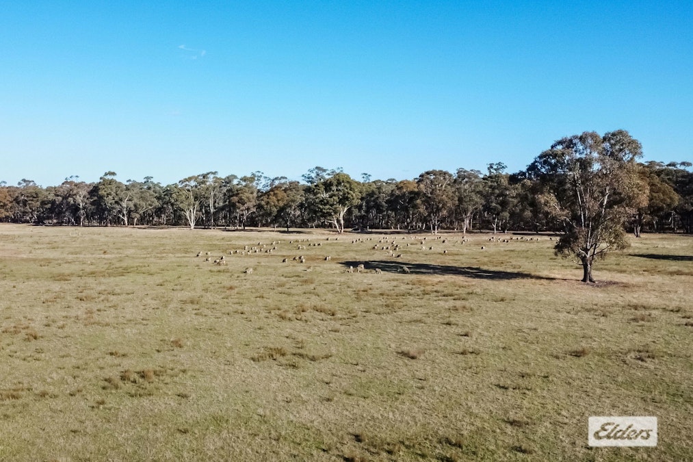 Costerfield-Redcastle Road, Costerfield, VIC, 3523 - Image 10