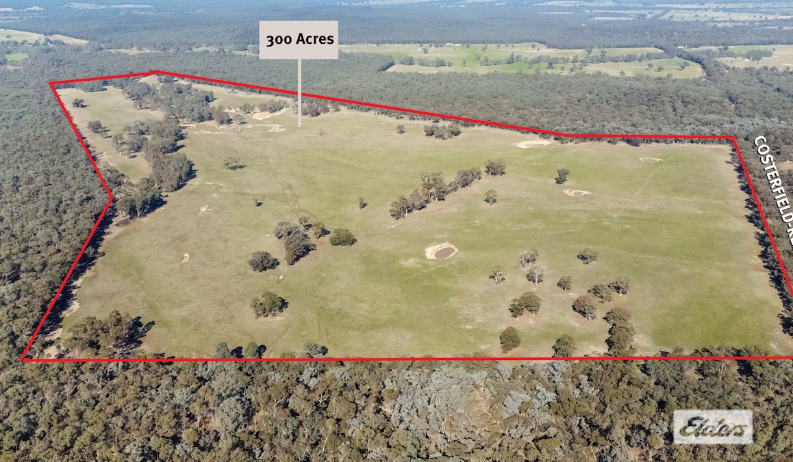 Costerfield-Redcastle Road, Costerfield, VIC, 3523 - Image 2
