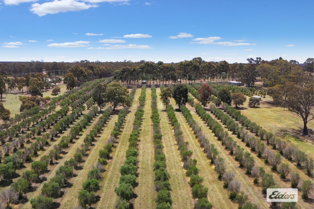 1012 Bendigo - Maryborough Road, Lockwood South, VIC, 3551 - Image 28