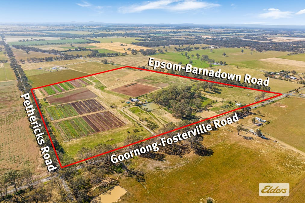 421 Goornong-Fosterville Road, Goornong, VIC, 3557 - Image 1