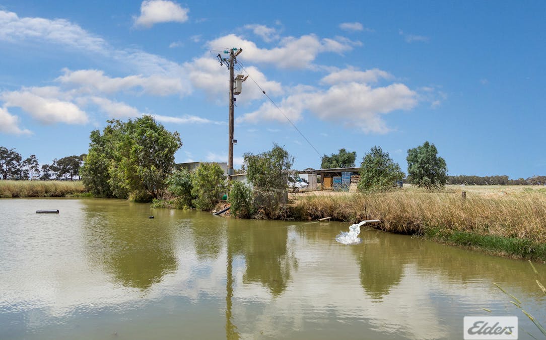 421 Goornong-Fosterville Road, Goornong, VIC, 3557 - Image 4
