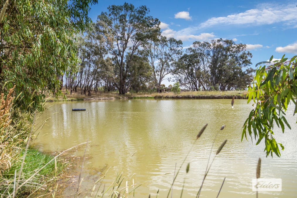421 Goornong-Fosterville Road, Goornong, VIC, 3557 - Image 7
