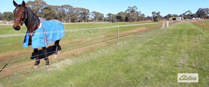53 Nixons Road, Shelbourne, VIC, 3515 - Image 1