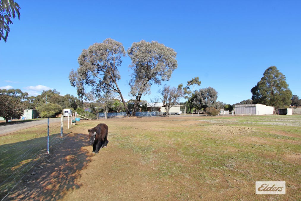 53 Nixons Road, Shelbourne, VIC, 3515 - Image 30