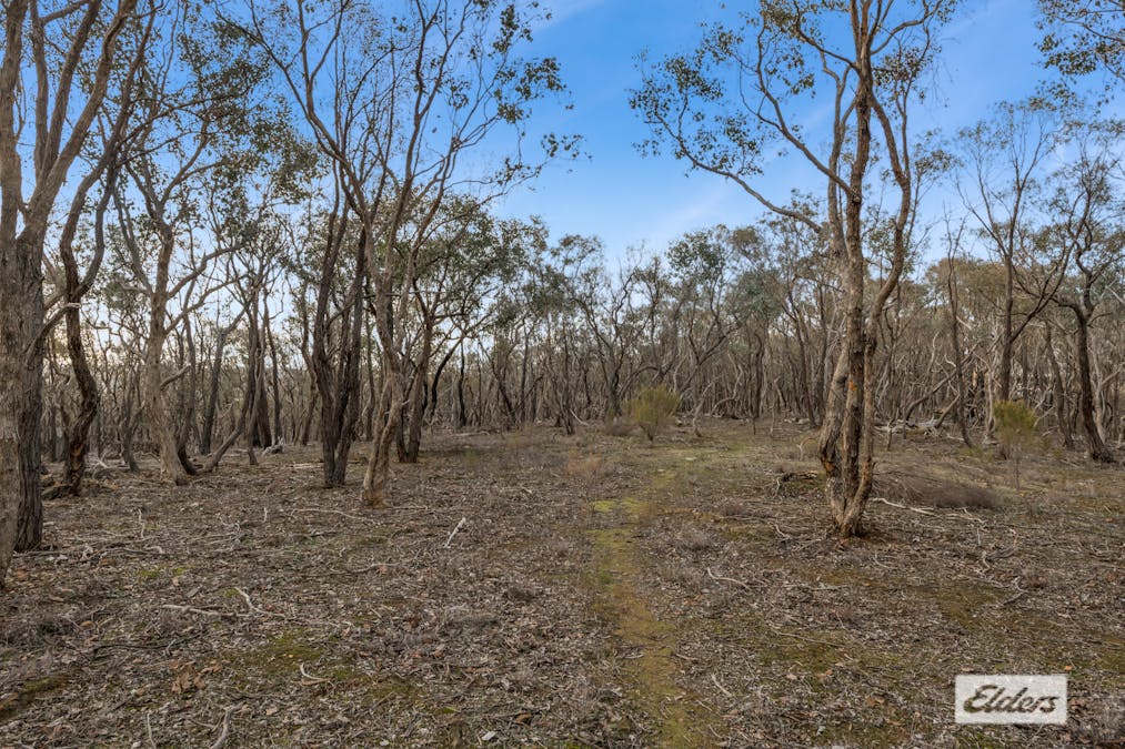 1/James Cook Drive, Emu Creek, VIC, 3551 - Image 5