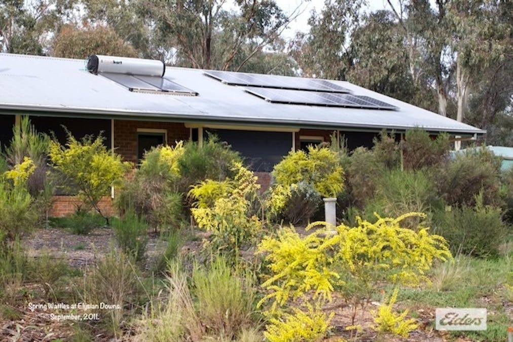 50 William Perry Lane, Sebastian, VIC, 3556 - Image 4