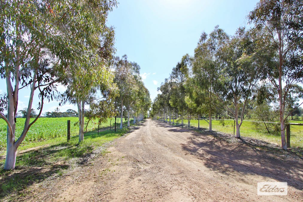 180 Pinchgut Lane, Shelbourne, VIC, 3515 - Image 4