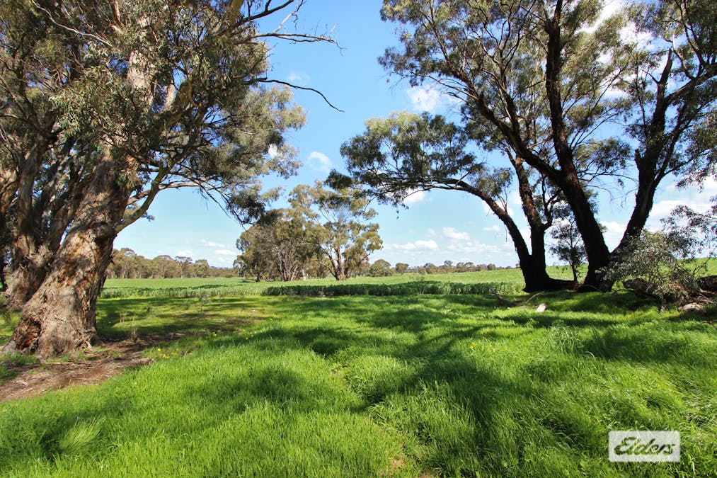 180 Pinchgut Lane, Shelbourne, VIC, 3515 - Image 3