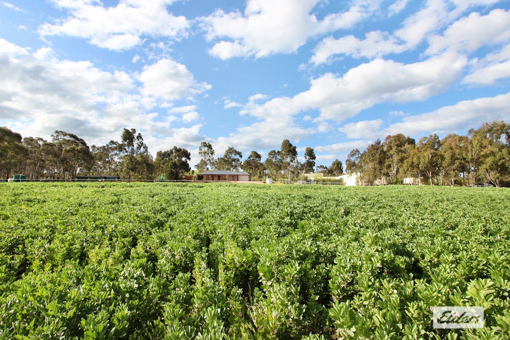 180 Pinchgut Lane, Shelbourne, VIC, 3515 - Image 25