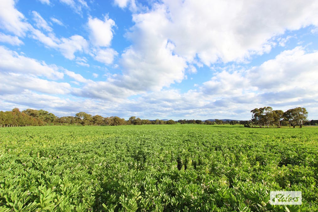 180 Pinchgut Lane, Shelbourne, VIC, 3515 - Image 5