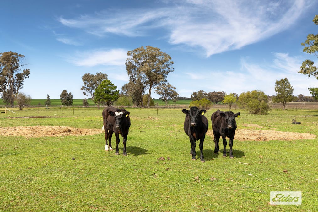 1 Toomy Road, Marong, VIC, 3515 - Image 6