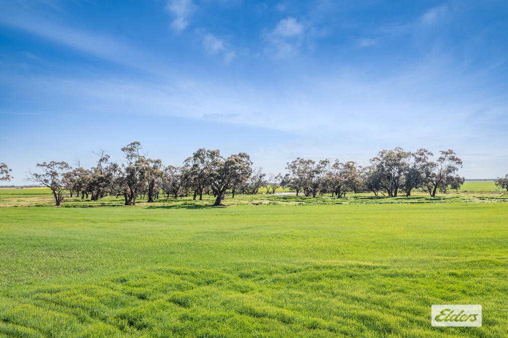 379 Days Road, Mysia, VIC, 3518 - Image 7