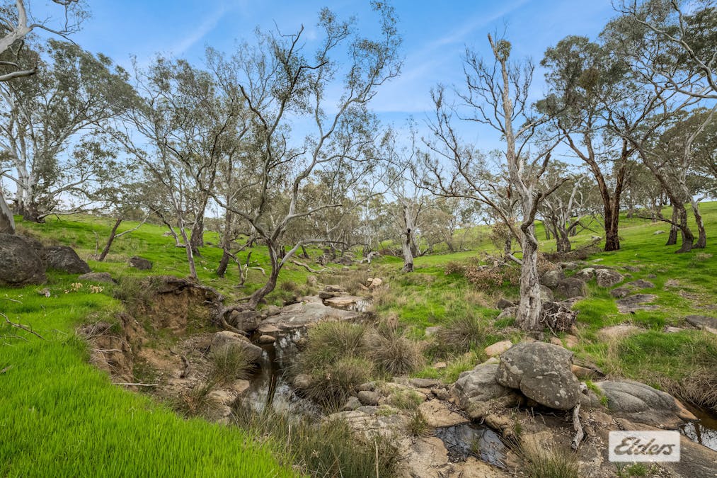 1/Calder Highway, Ravenswood, VIC, 3453 - Image 5