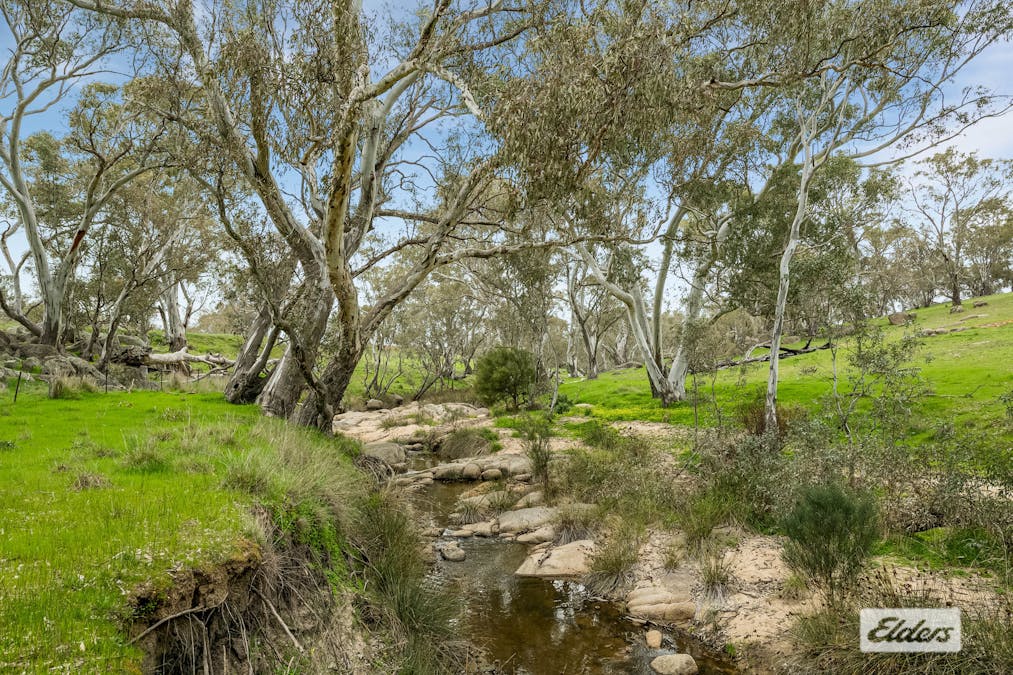1/Calder Highway, Ravenswood, VIC, 3453 - Image 7