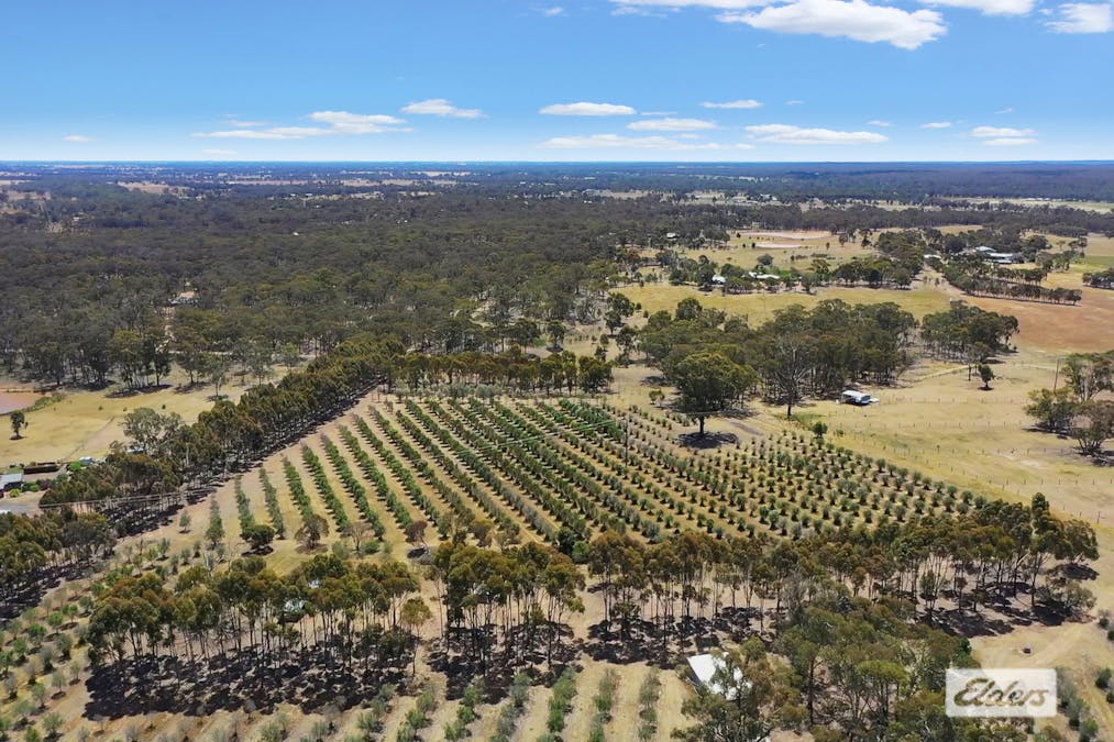 1012 Bendigo-Maryborough Road, Lockwood, VIC, 3551 - Image 29