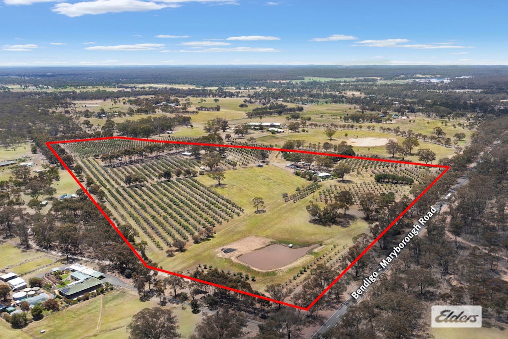 1012 Bendigo-Maryborough Road, Lockwood, VIC, 3551 - Image 34