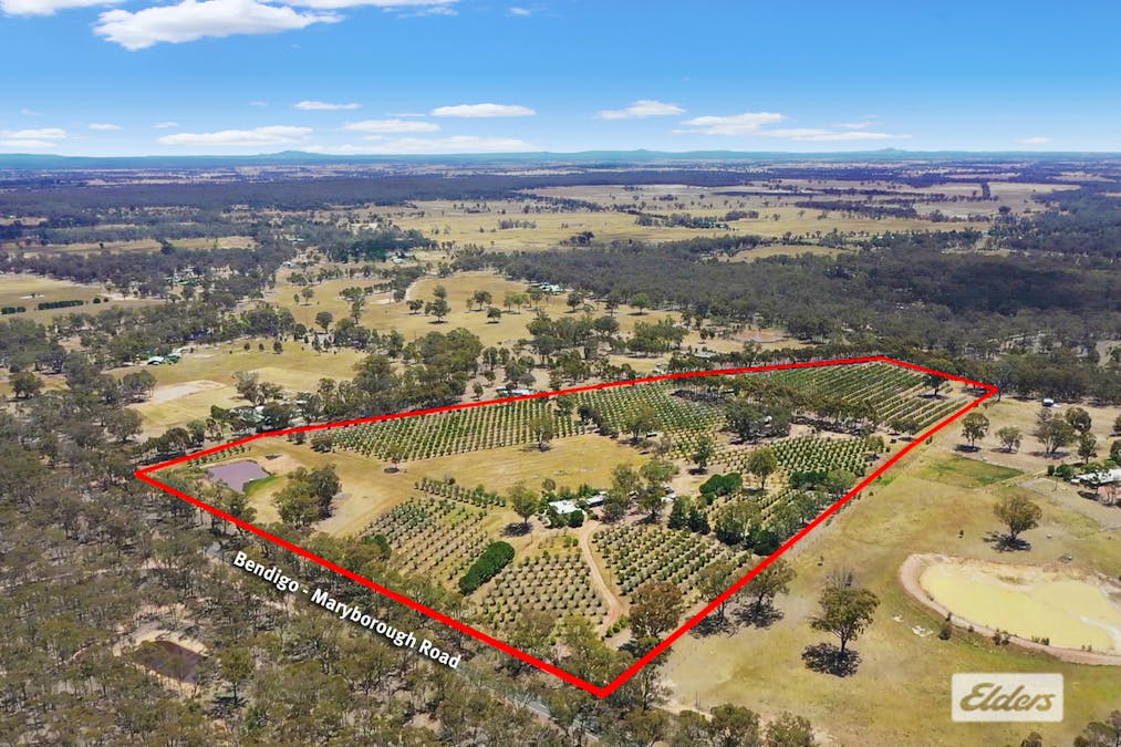 1012 Bendigo-Maryborough Road, Lockwood, VIC, 3551 - Image 2