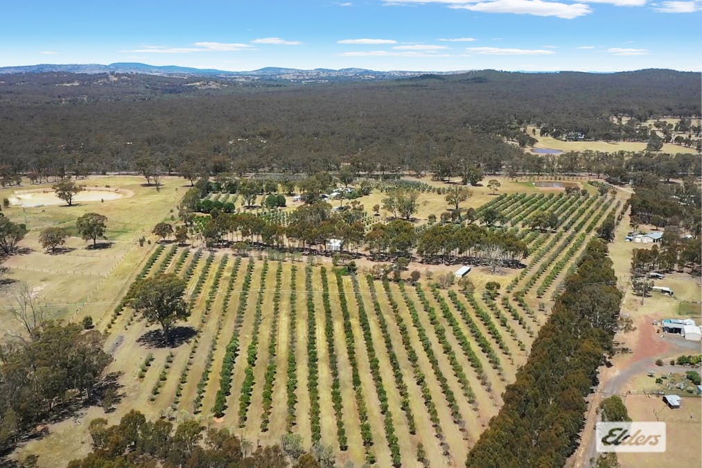 1012 Bendigo-Maryborough Road, Lockwood, VIC, 3551 - Image 30