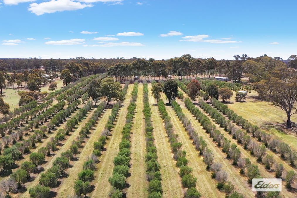 1012 Bendigo-Maryborough Road, Lockwood, VIC, 3551 - Image 31