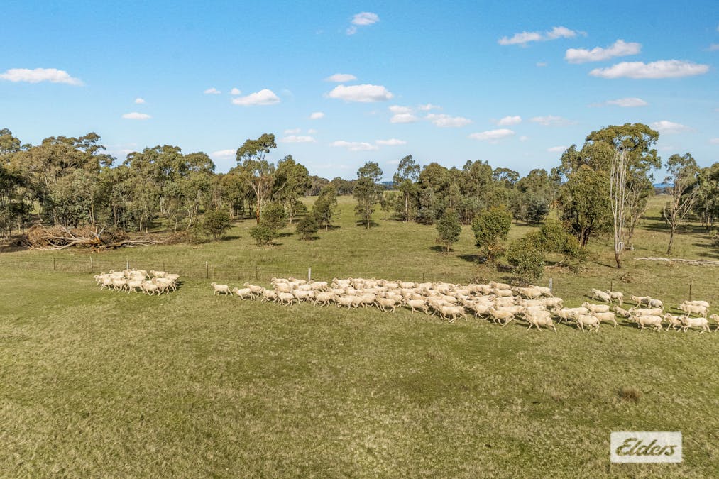 319 Hoods Lane, Moormbool West, VIC, 3523 - Image 17