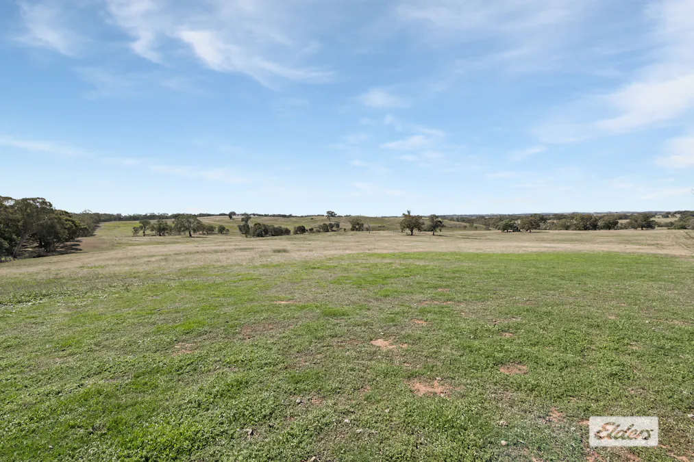 1105 Heathcote-Spring Plains Road, Mia Mia, VIC, 3444 - Image 5