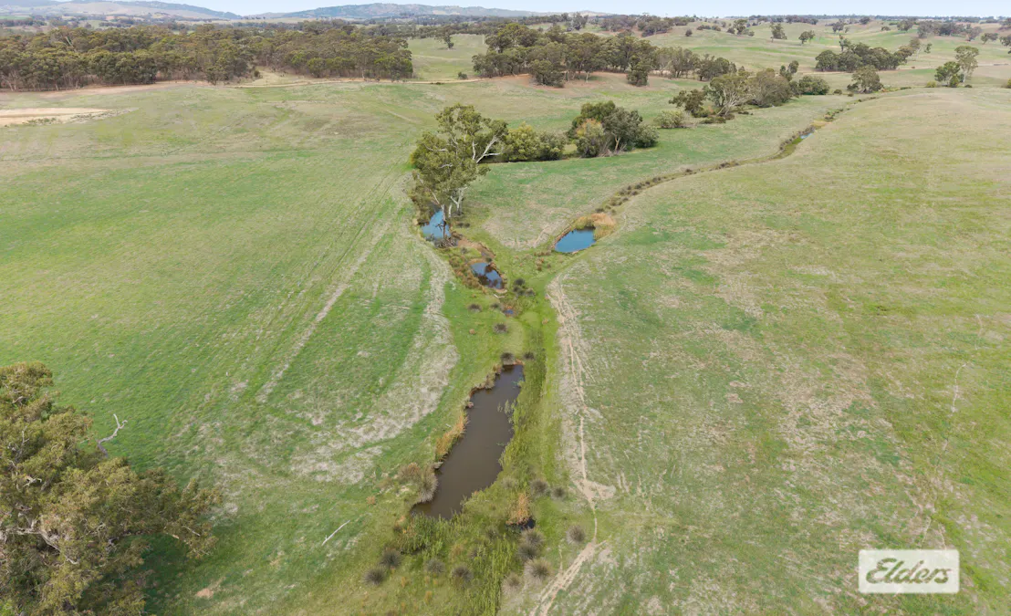 1105 Heathcote-Spring Plains Road, Mia Mia, VIC, 3444 - Image 6