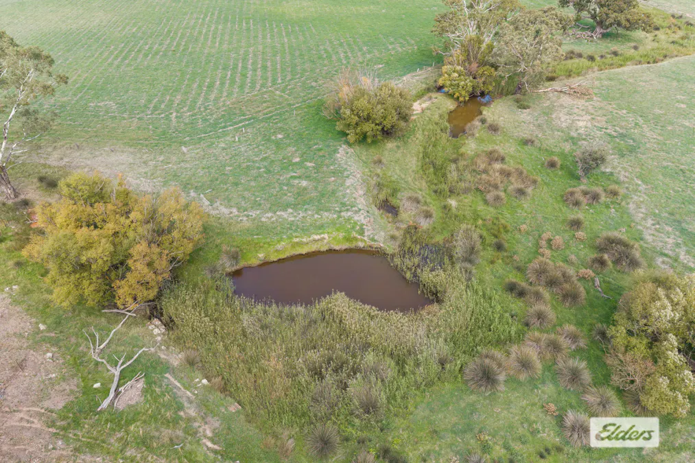 1105 Heathcote-Spring Plains Road, Mia Mia, VIC, 3444 - Image 7