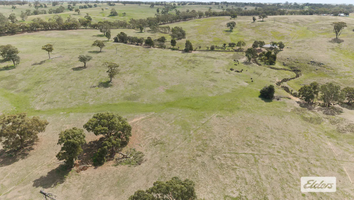 1105 Heathcote-Spring Plains Road, Mia Mia, VIC, 3444 - Image 9