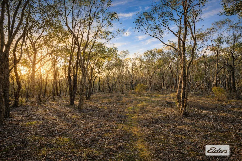 2/Hargreaves Road, Emu Creek, VIC, 3551 - Image 1