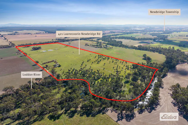 421 Laanecoorie-Newbridge Road — photo from Elders Real Estate Bendigo