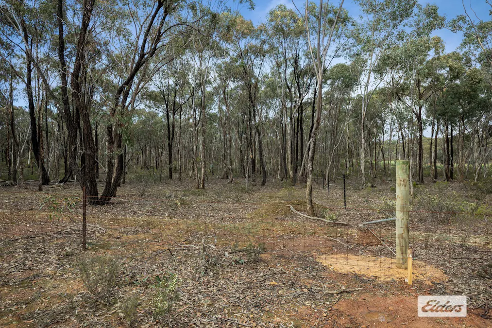52C, 52D &/Landry Road, Lockwood, VIC, 3551 - Image 8