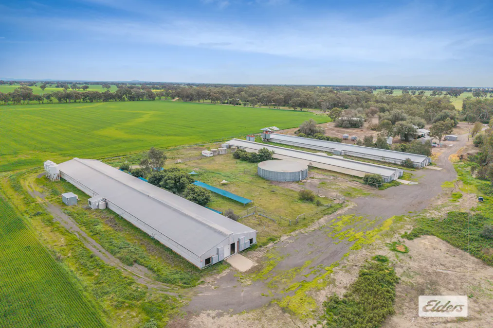 145 Wilsons Road, Leichardt, VIC, 3516 - Image 5