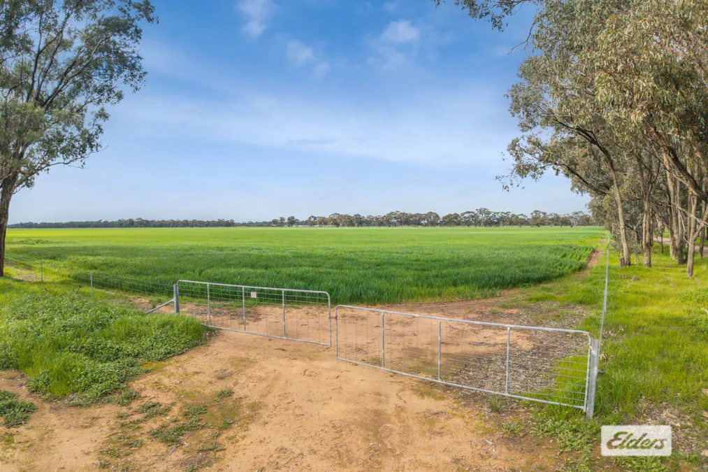 145 Wilsons Road, Leichardt, VIC, 3516 - Image 12