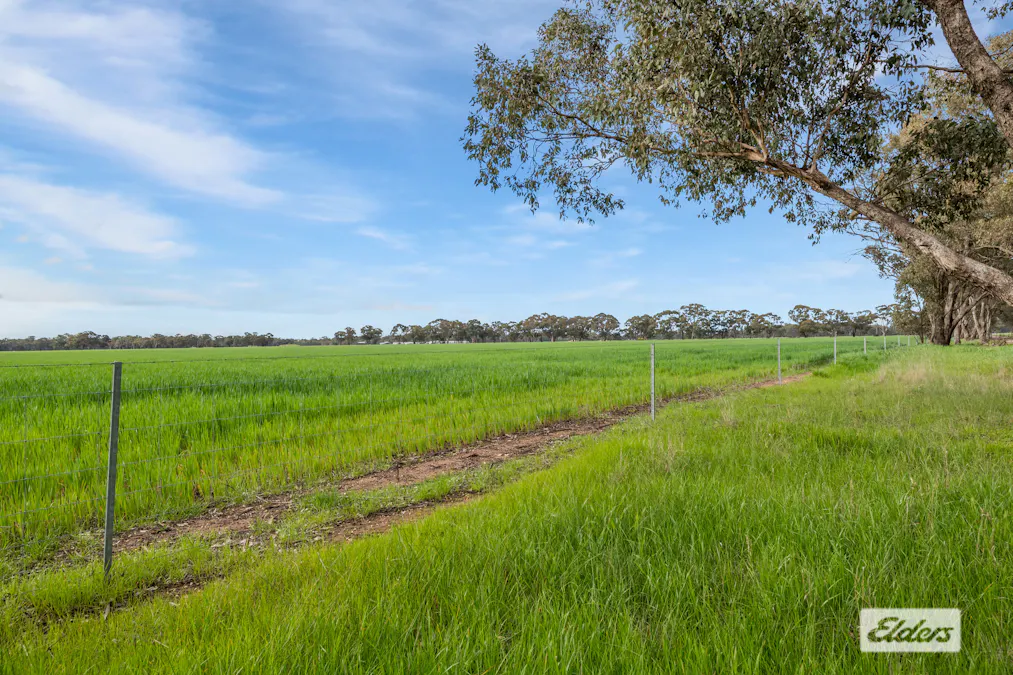 145 Wilsons Road, Leichardt, VIC, 3516 - Image 14