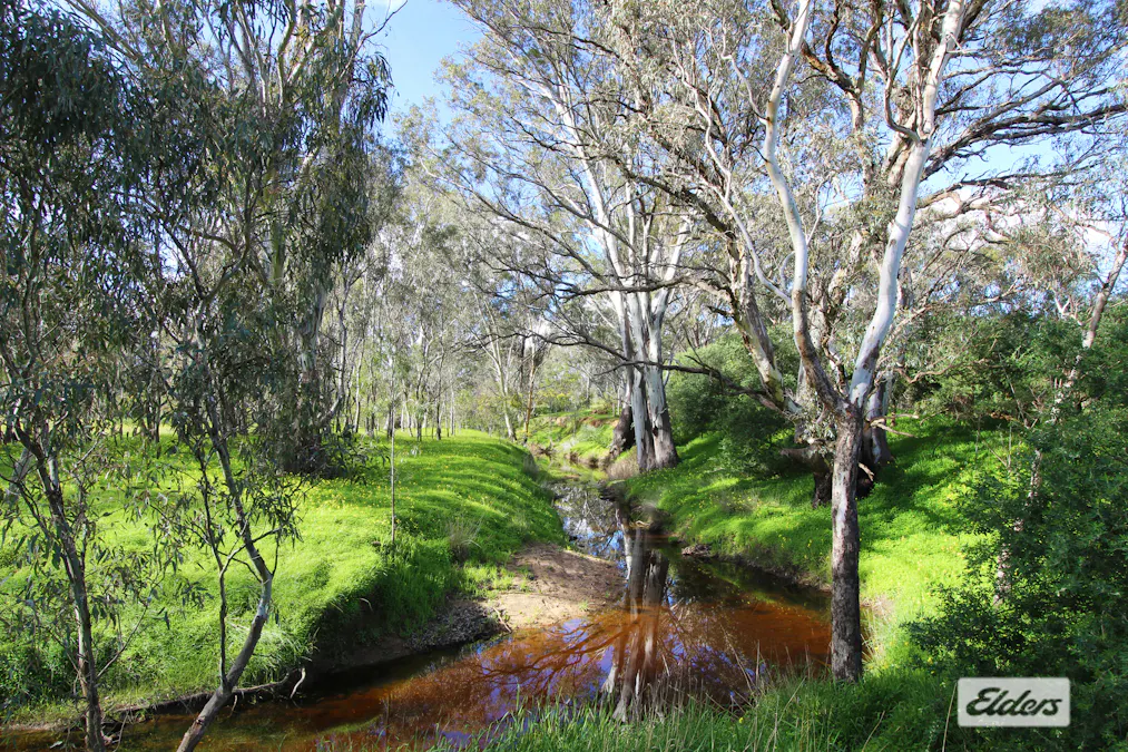 278 Bradford Road, Shelbourne, VIC, 3515 - Image 16