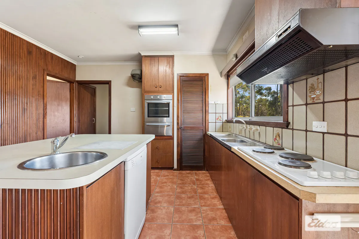5 Dempsey Street — photo 7 of 22
