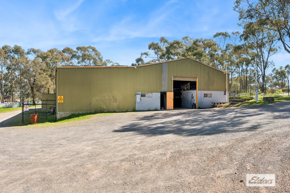 5 Dempsey Street — photo 14 of 22