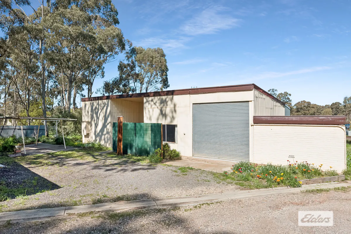 5 Dempsey Street — photo 17 of 22