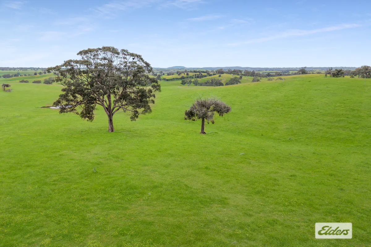 Duncans Lane — photo 4 of 9