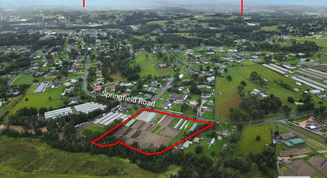 199 Springfield Road, Catherine Field, NSW, 2557 - Image 3