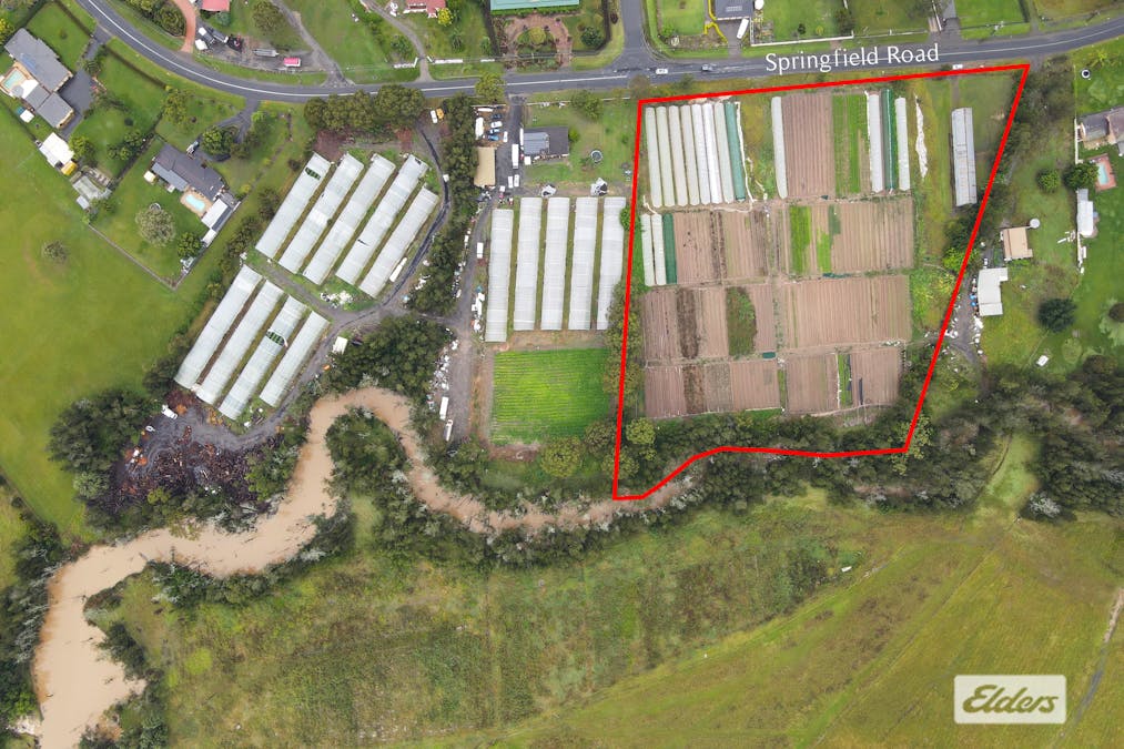 199 Springfield Road, Catherine Field, NSW, 2557 - Image 4