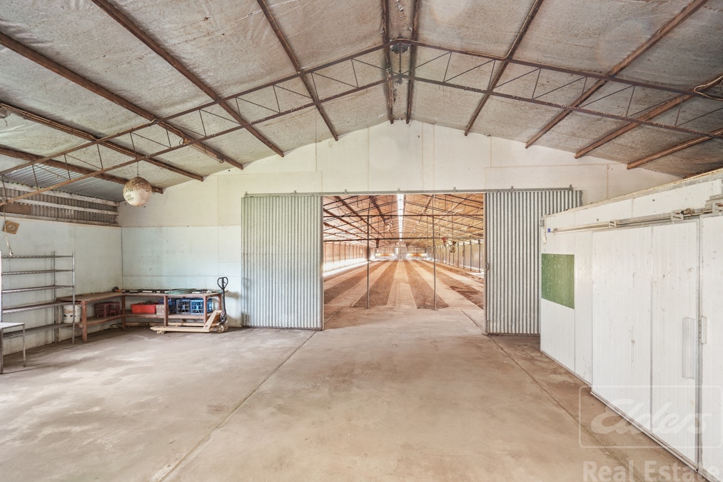 25 Michell Road, Thirlmere, NSW, 2572 - Image 9