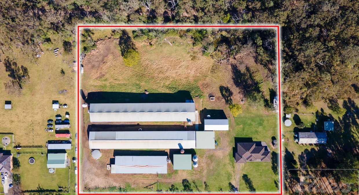 25 Michell Road, Thirlmere, NSW, 2572 - Image 4