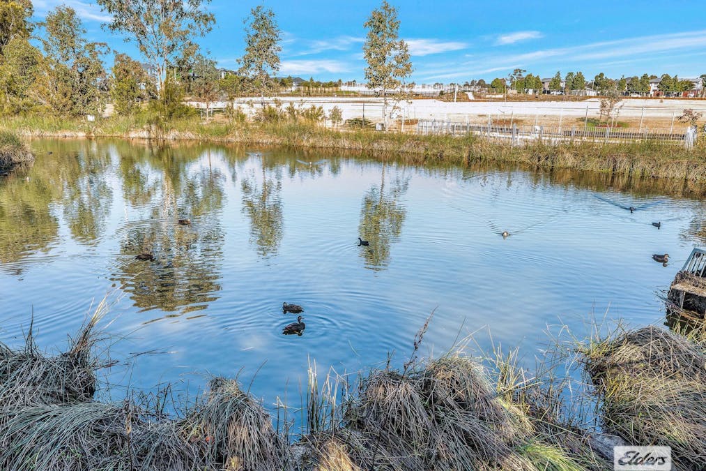 131 Passiflora Avenue, Denham Court, NSW, 2565 - Image 20