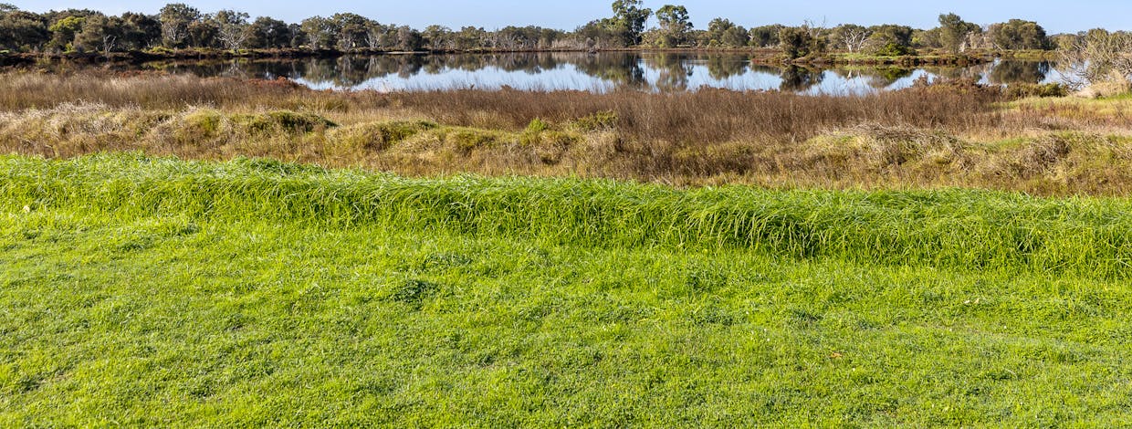 29 Vaucluse Way, Coodanup, WA, 6210 - Image 24